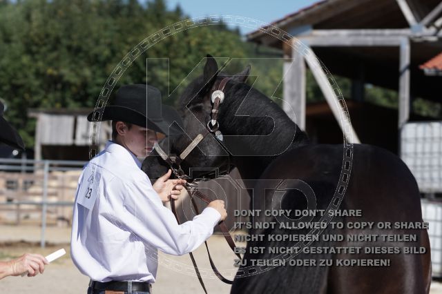a_DSC05922.JPG